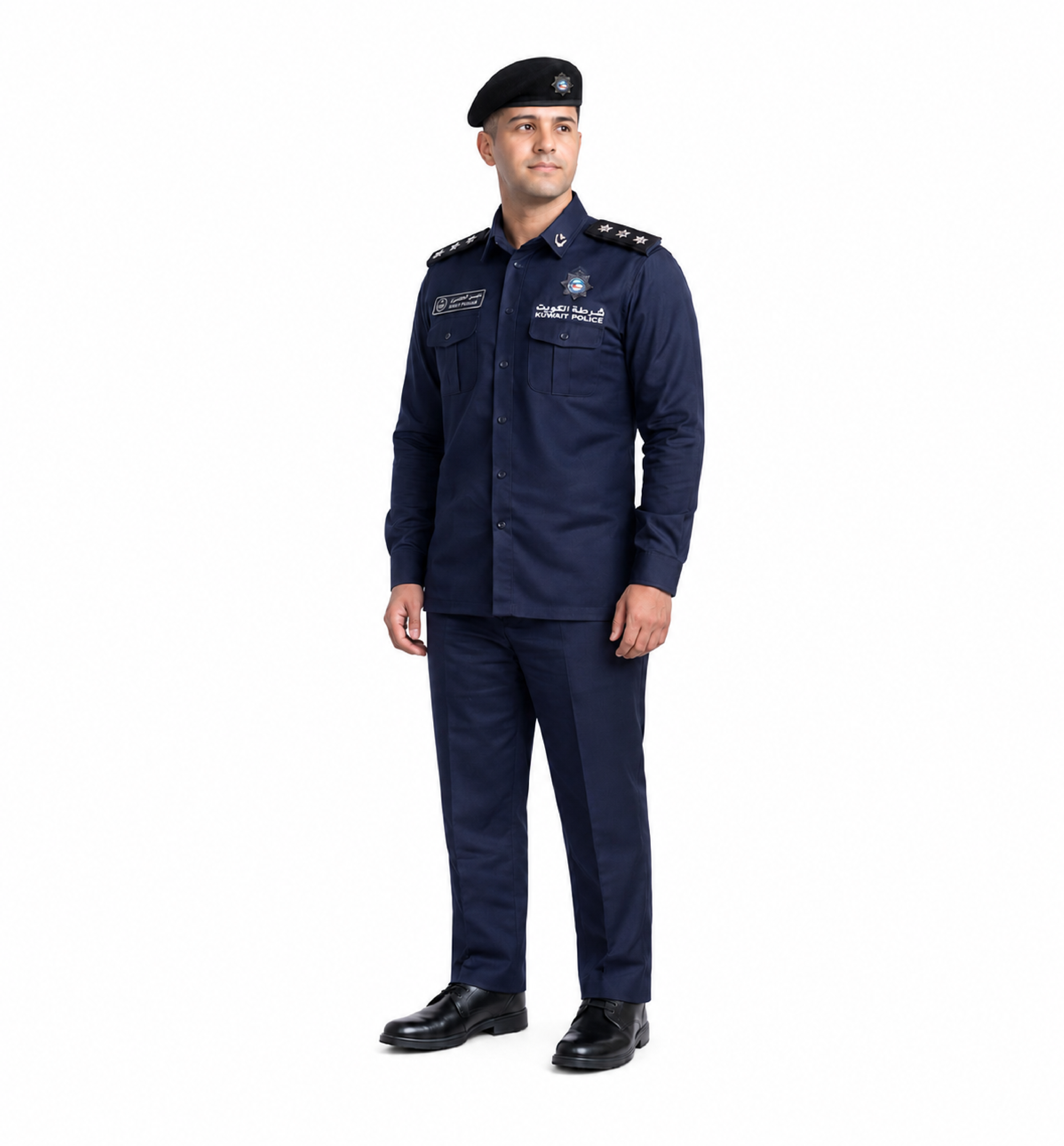 Military Sector